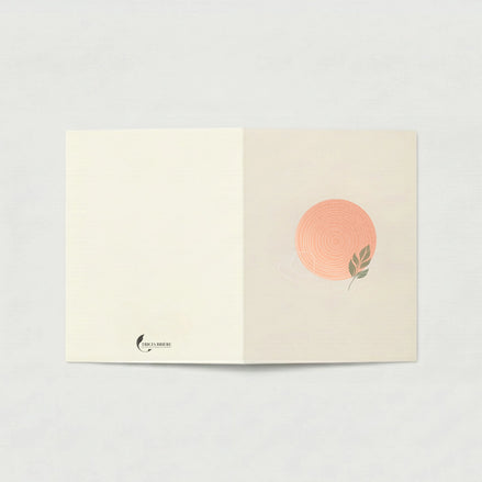 Carte de vœux ouverte à plat sur fond gris clair. La page de gauche est ivoire uni avec le logo Tricia Brière en bas à gauche. La page de droite, en beige rosé, est ornée d'un cercle rose poudré aux cernes concentriques blancs et d'une feuille verte stylisée.